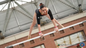 serie b lpg03810 ph pagliaricci ferraro